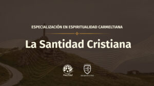 La santidad cristiana: llamados a la plenitud del amor