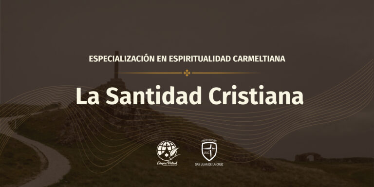 La santidad cristiana: llamados a la plenitud del amor