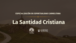 La santidad cristiana: llamados a la plenitud del amor