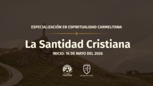 La santidad cristiana: llamados a la plenitud del amor